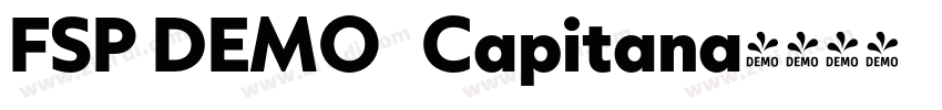 FSP DEMO   Capitana字体转换